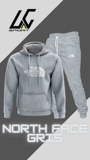 Conjunto North Face Gris